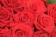 Китайский жених подарил невесте 99999 алых роз