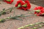 Житель Егорьевска украл цветы с мемориала ради ветеранов
